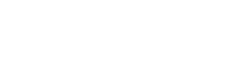 Neon Valley logo