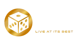 VivoGaming logo